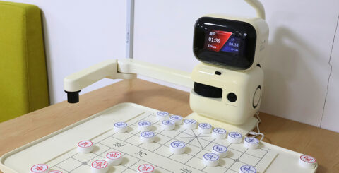 Chess Robot