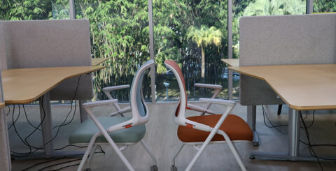 Study Area